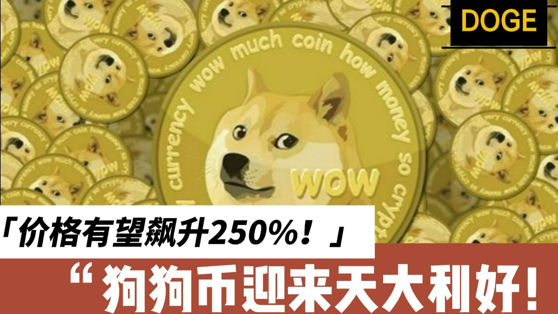 九游娱乐入口-狗狗币上扬势惊人，一夜飙升Gate%，加密市场沸腾