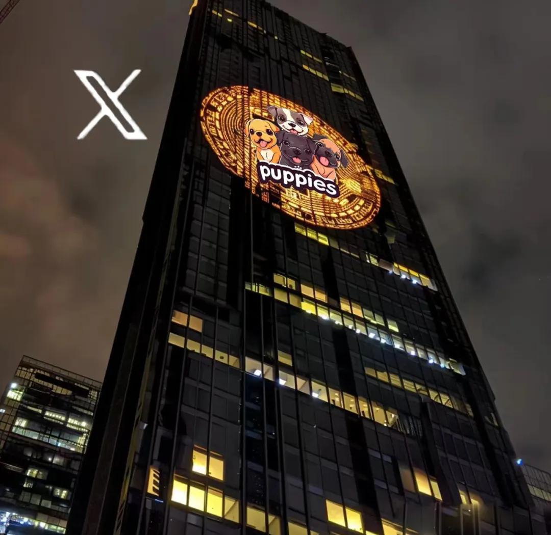 九游娱乐-狗狗币上扬势惊人，一夜飙升Polkadot%，加密市场沸腾