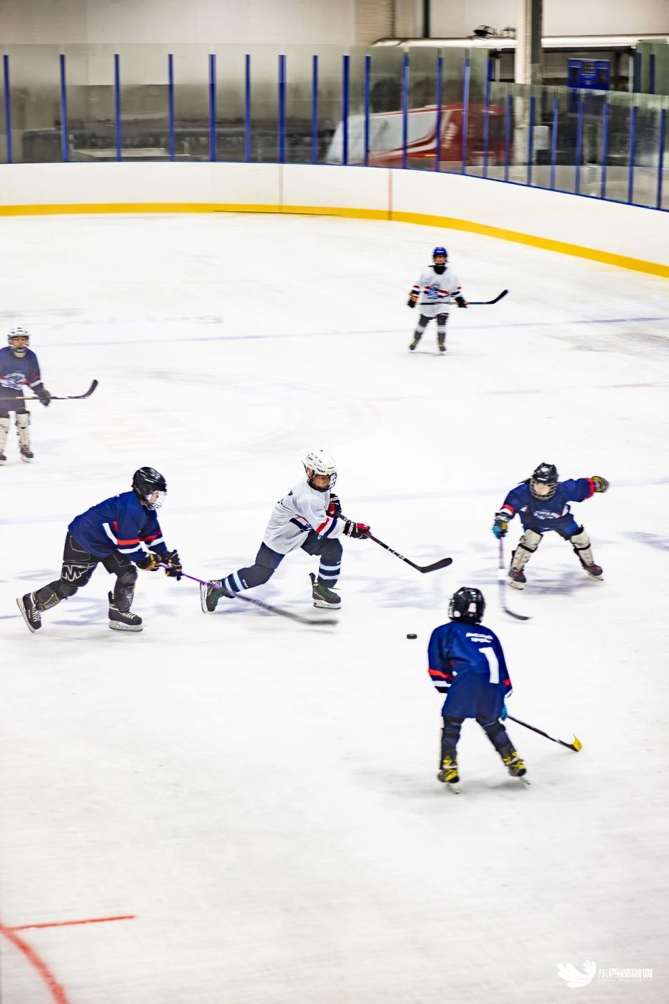 九游娱乐-公开赛巅峰对决！中原火狐队惊险晋级岭东青龙队，冰球赛场再起波澜；教练团队居功至伟的简单介绍